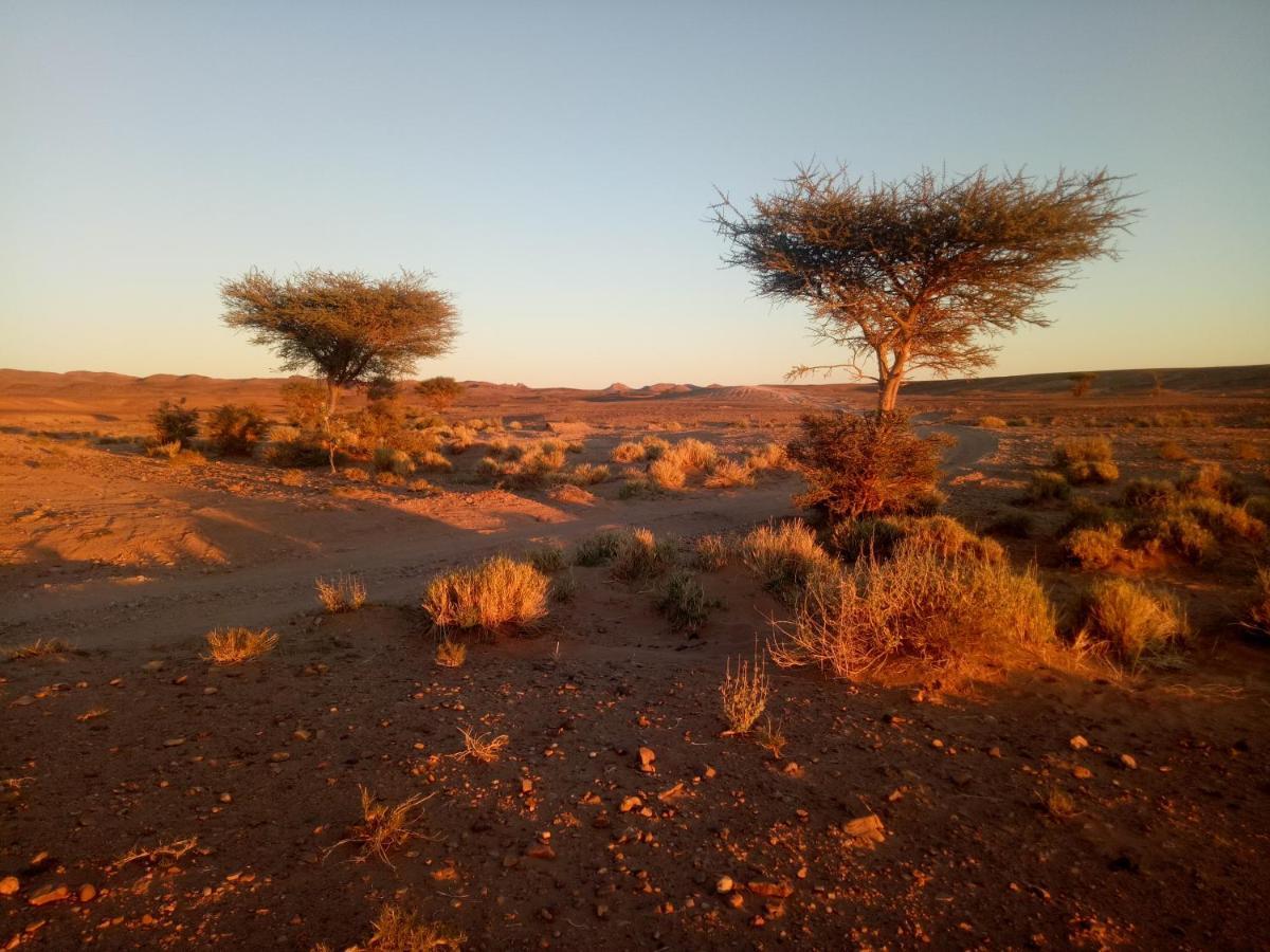 Sahara Peace Camp Hotell Zagora Eksteriør bilde