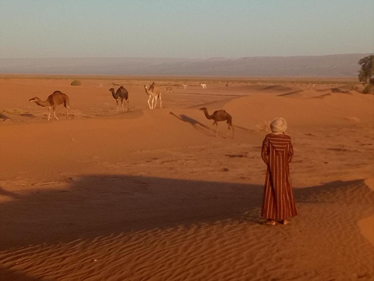 Sahara Peace Camp Hotell Zagora Eksteriør bilde