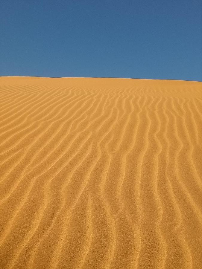 Sahara Peace Camp Hotell Zagora Eksteriør bilde