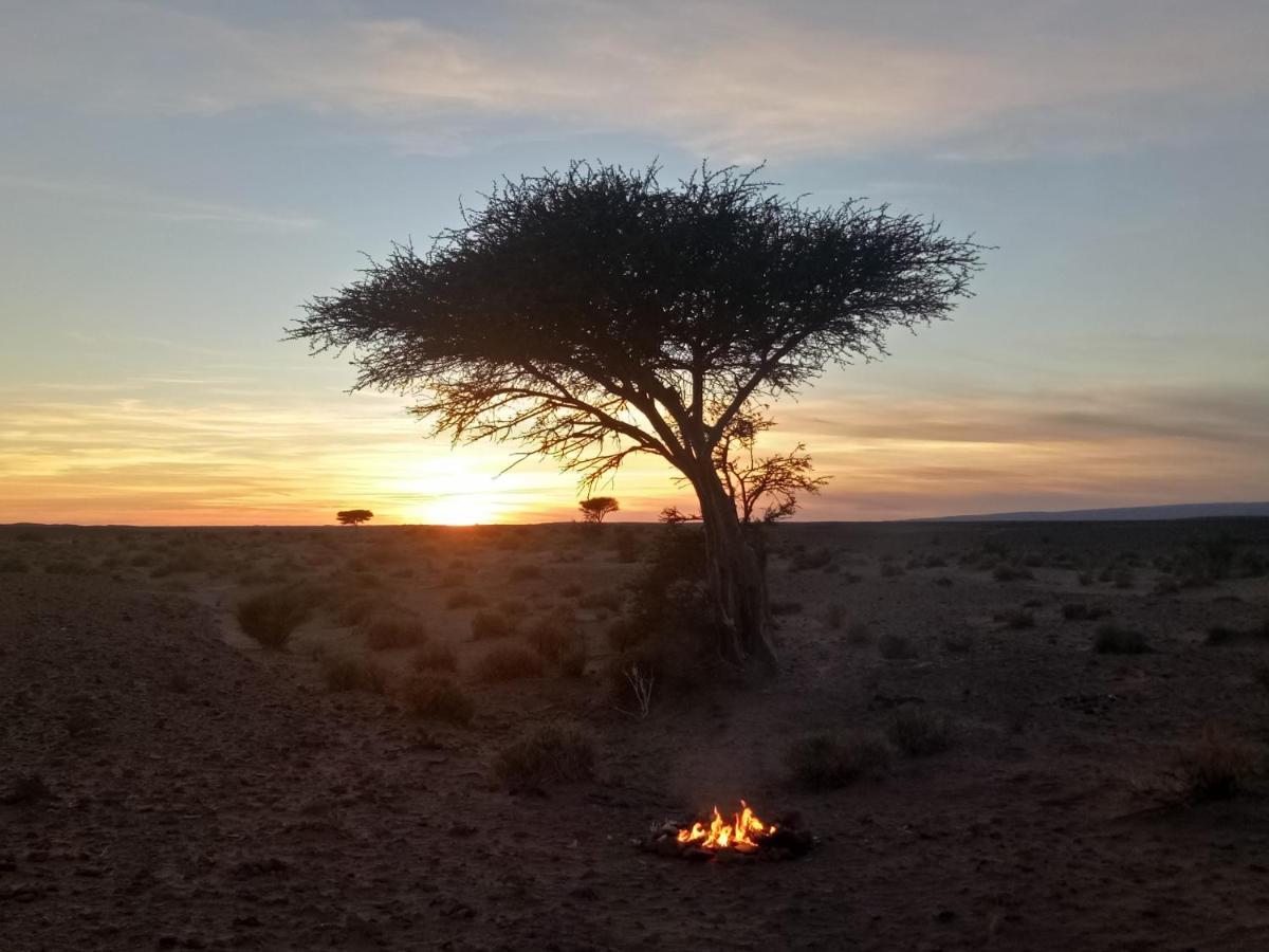Sahara Peace Camp Hotell Zagora Eksteriør bilde