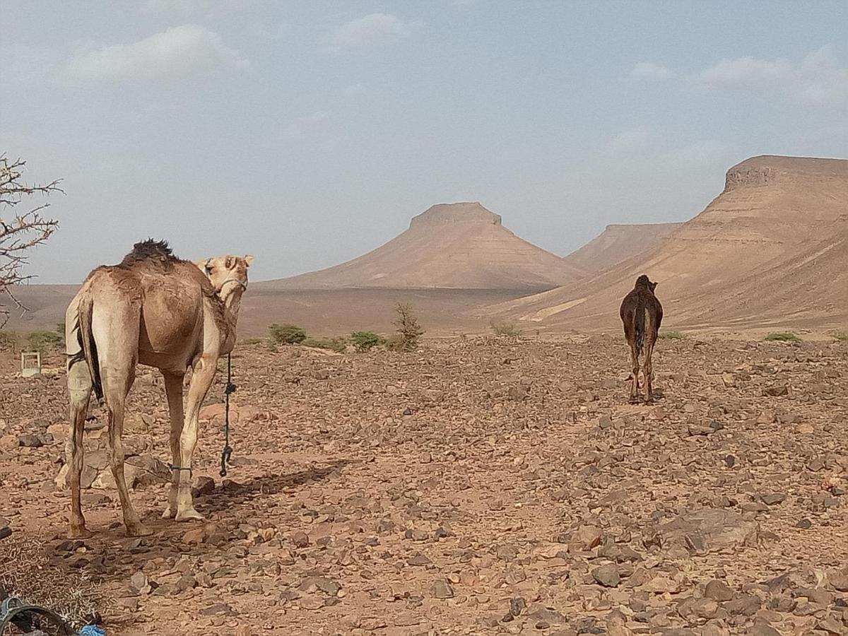 Sahara Peace Camp Hotell Zagora Eksteriør bilde