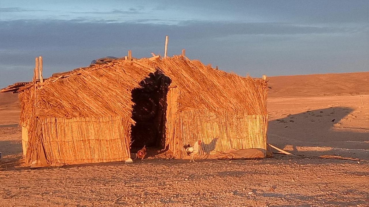 Sahara Peace Camp Hotell Zagora Eksteriør bilde