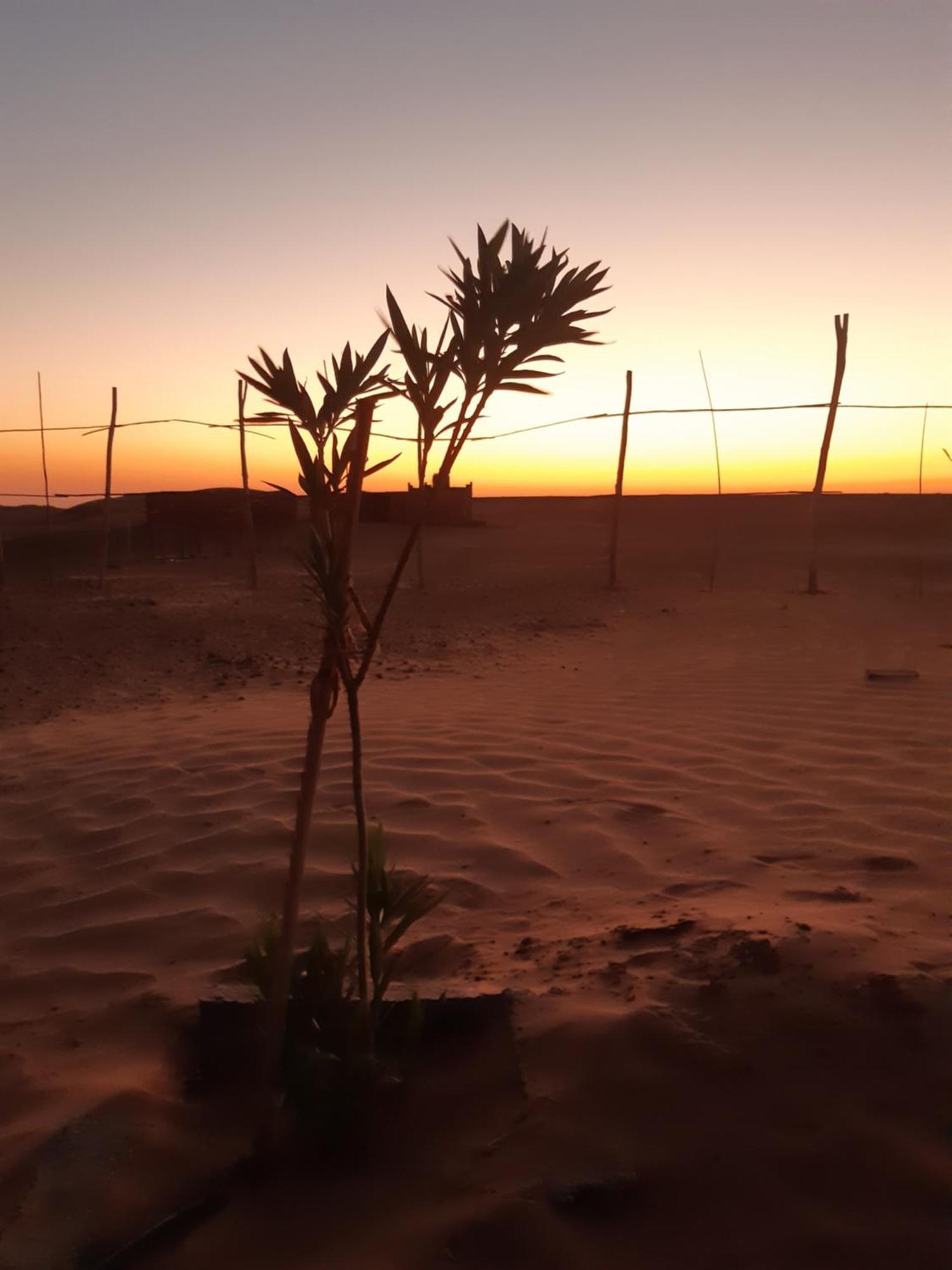 Sahara Peace Camp Hotell Zagora Eksteriør bilde